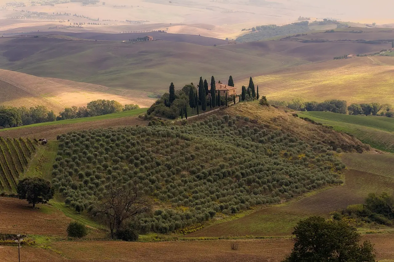 Rome to Tuscan Vintages